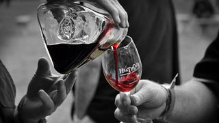 Cata de vinos y visita guiada en Condie Estate