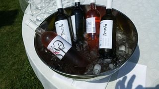 Wine Tasting and Tour at Gerzinic Winery