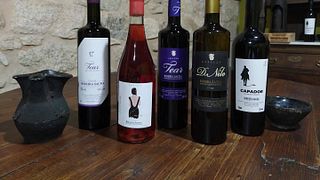 Degustazione di vini popolare ad Adega Tear
