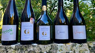 Wine Tasting in the Heart of Vézelay