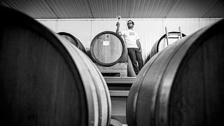 Cata de vinos y visita guiada en Herrenhof Lamprecht