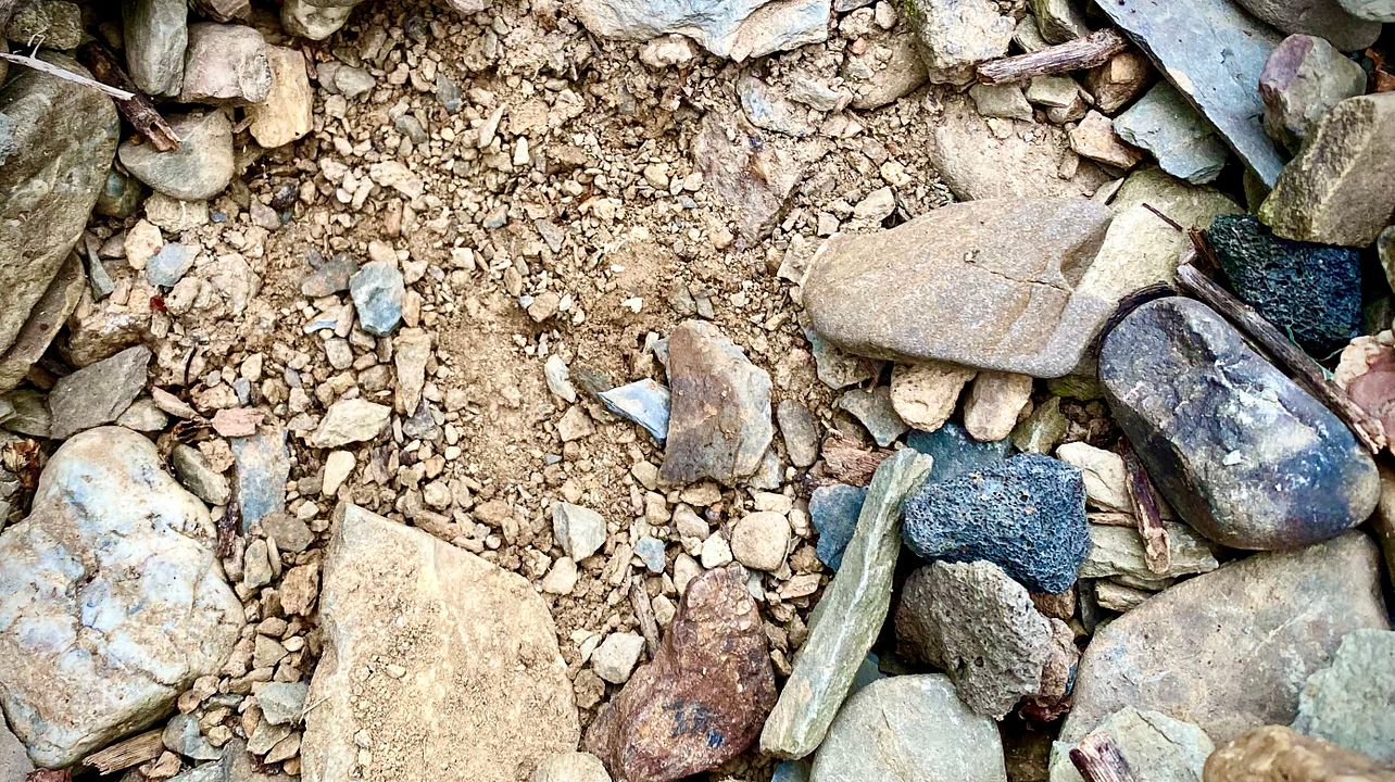 Traubenflucht – Entdecken Sie im Ahrtal den deutschen Pinot Noir