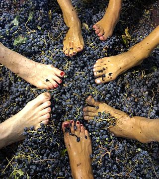 Une dégustation avec l'œnologue d'Azamor Wines