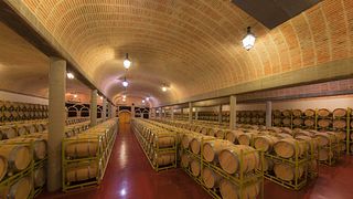 Degustazione di vini popolare a Bodegas Hnos