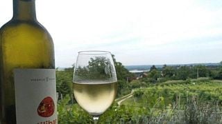 Plavinci Organic Winery