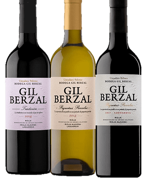 Rioja Wine Journey at Bodega Gil Berzal