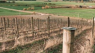 Hawke's Bay Winemaker Tasting & Vineyard Views