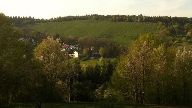 Weingut Iselin