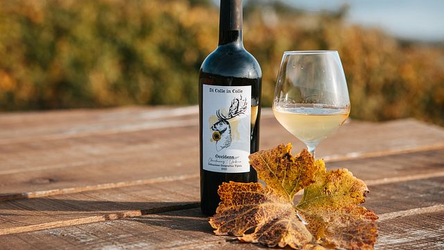 Weinprobe von Weinen vom Trasimenischen See mit lokalen Weinbegleitungen in der Cantina Di Colle