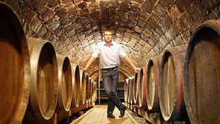 Upper Hungary Wine & Vineyard Journey at Kvaszinger