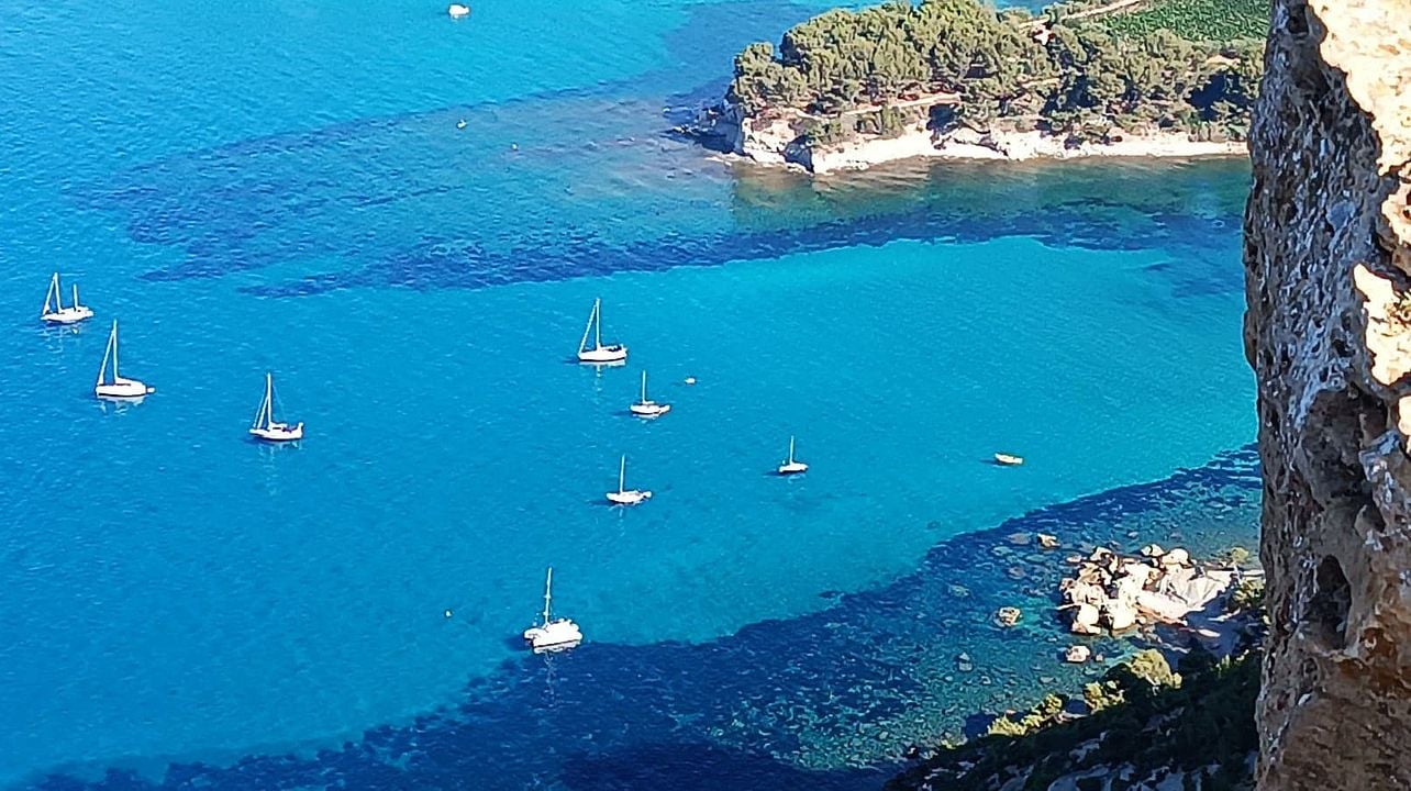 Cassis vingårdar