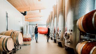 Vinprovning på Mariel Winery
