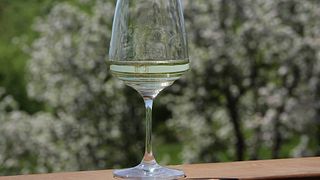 Weinverkostungserlebnisse im Weingut Maryan