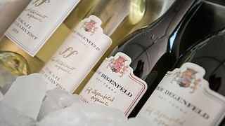 Degustação de vinhos na vinícola Grof Degenfeld - Pacote I. ESTATE