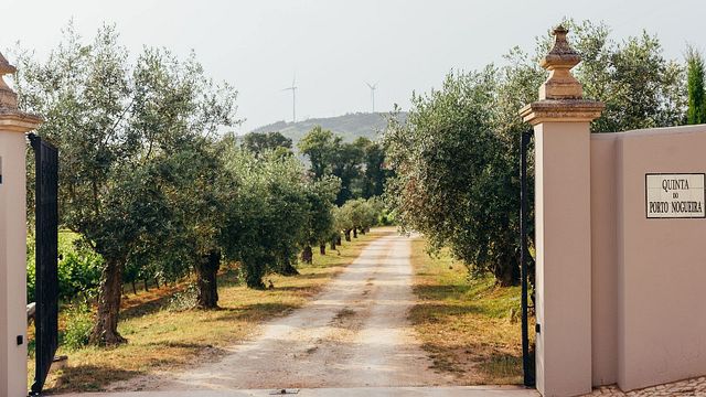 Experience the Charm of Quinta do Porto Nogueira