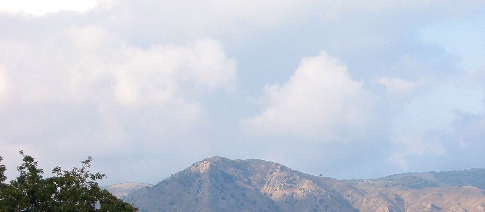Sicilia En Primeur