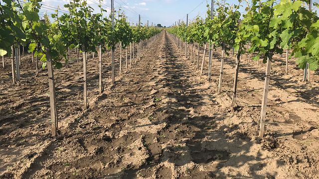 Krmes Winery