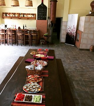 Degustação de vinhos e tour no Domaine Nikolaou