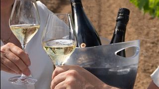 Celler Jovani Vins