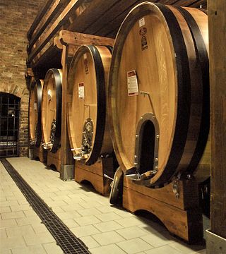 Cata de vinos y visita guiada en Giacomo Vico
