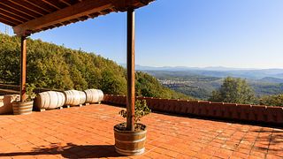 Castilla y León Wine Legacy: Vineyard to Glass Journey