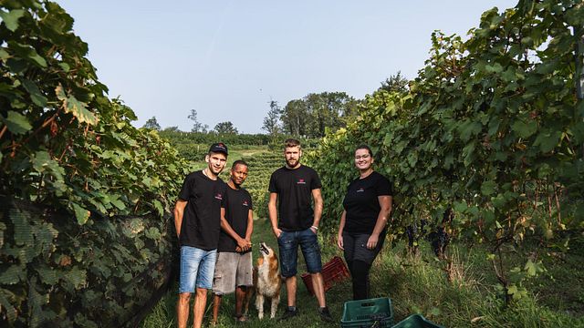 Cantina Dellerba