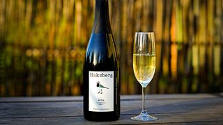 Dégustation de vins et visite au Wijnkasteel Haksberg