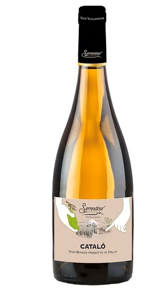 Catalo Vino Bianco