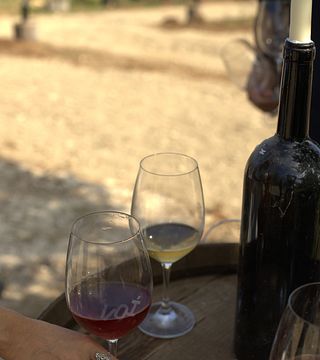 Degustação Olímpica de 4 vinhos na vinícola Voï Boutique 