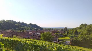 Stroll Scenic Vineyards & Taste Local Piedmont Wines