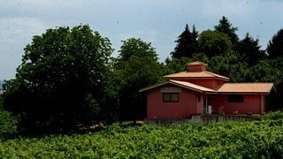 Lazio Wine & Vineyard Escape at Migrante