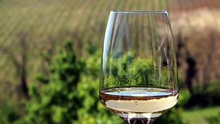 Weinprobe und Tour bei Papwines