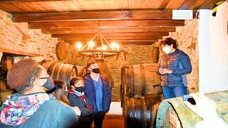 Passeio de Buggy e Bodega