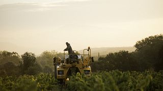 Dégustation et visite des vins du Domaine La Lôyane