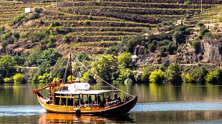Tour privato premium della valle del Douro: visita 2 cantine, con pranzo e giro in crociera sul fiume