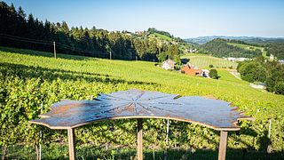 Escursione attraverso il mondo del vino Schilcher (1,1 km)
