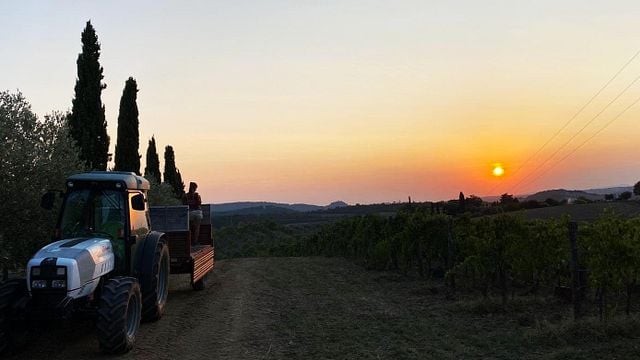 Weinprobe und Abendessen im La Chimera