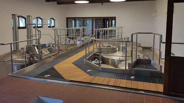 Degustazione e visita ai vigneti Davino