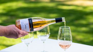 Degustação de vinhos clássicos em Beresford Estate