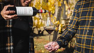 Degustação de vinhos clássicos em Cafaggio