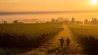 Degustazione di vini e tour presso Brooks Wine
