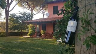 Degustação de vinhos clássicos e tour com lanches na vinícola Benedetič