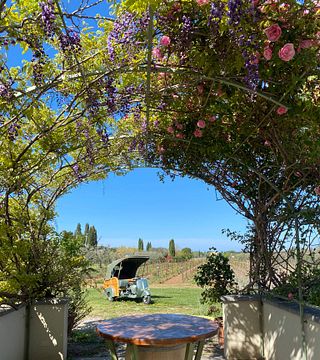 “Walking with Daisy”: Our Doc Bolgheri On 3 Wheels | Tenuta Campo al Signore