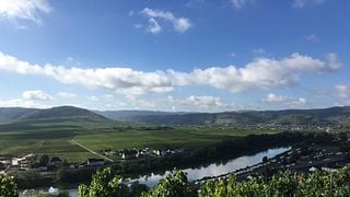Dégustation de vins et visite au Weingut Gebr.