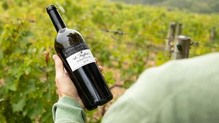 De Trafford Wines