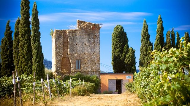 Degustazione di vini e tour presso l'Agriturismo Torre Pernice
