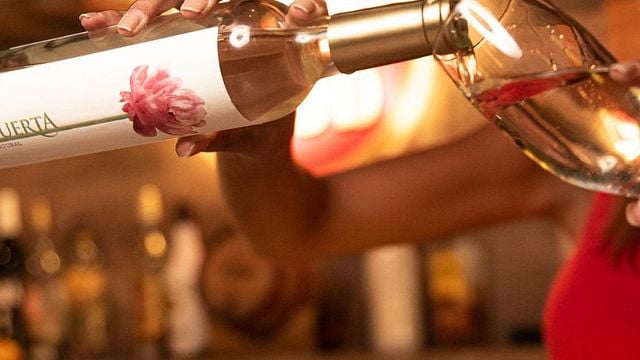 Cata y tour de vinos en Valle De La Puerta