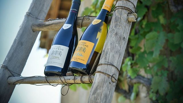 Domaine de la Ronze