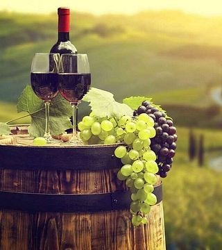 Tenuta Podernovo: A Tuscan Gem
