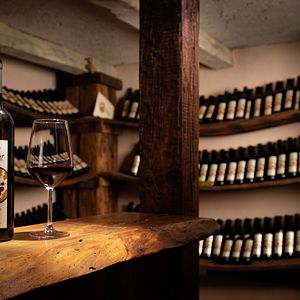 Dégustation de vins et visite des vignobles Stekar
